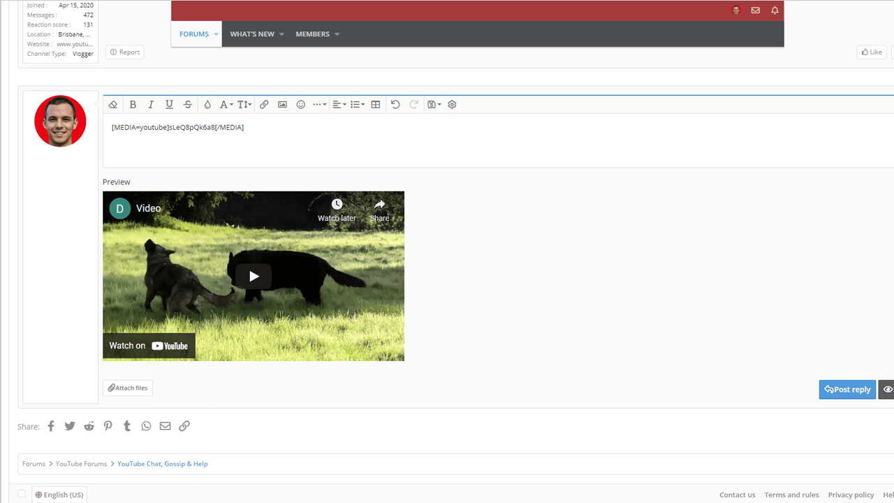 how-to-post-videos-on-forums